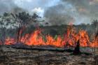Período proibitivo do uso do fogo no Pantanal começa em 1º de junho